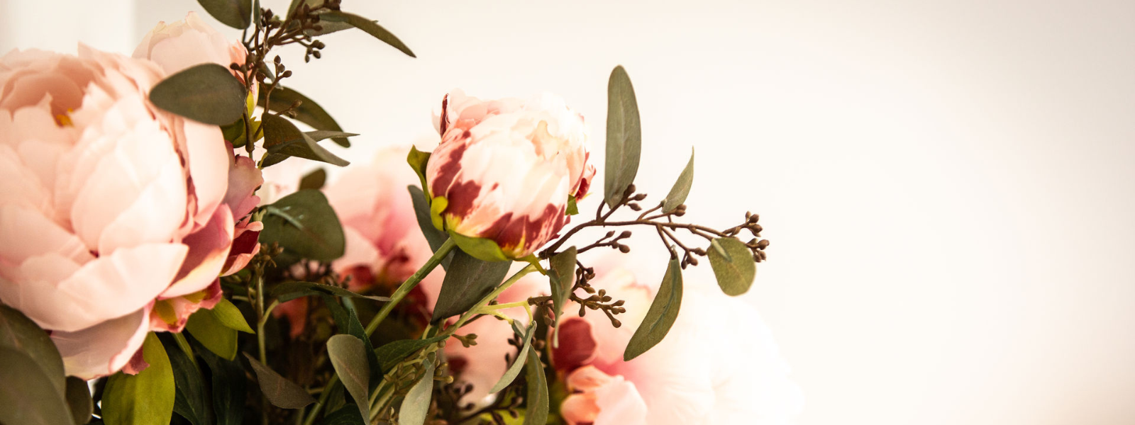 Rosa Blumen und ihre grünen Blätter vor einem weißen Hintergrund in einer Nahaufnahme.